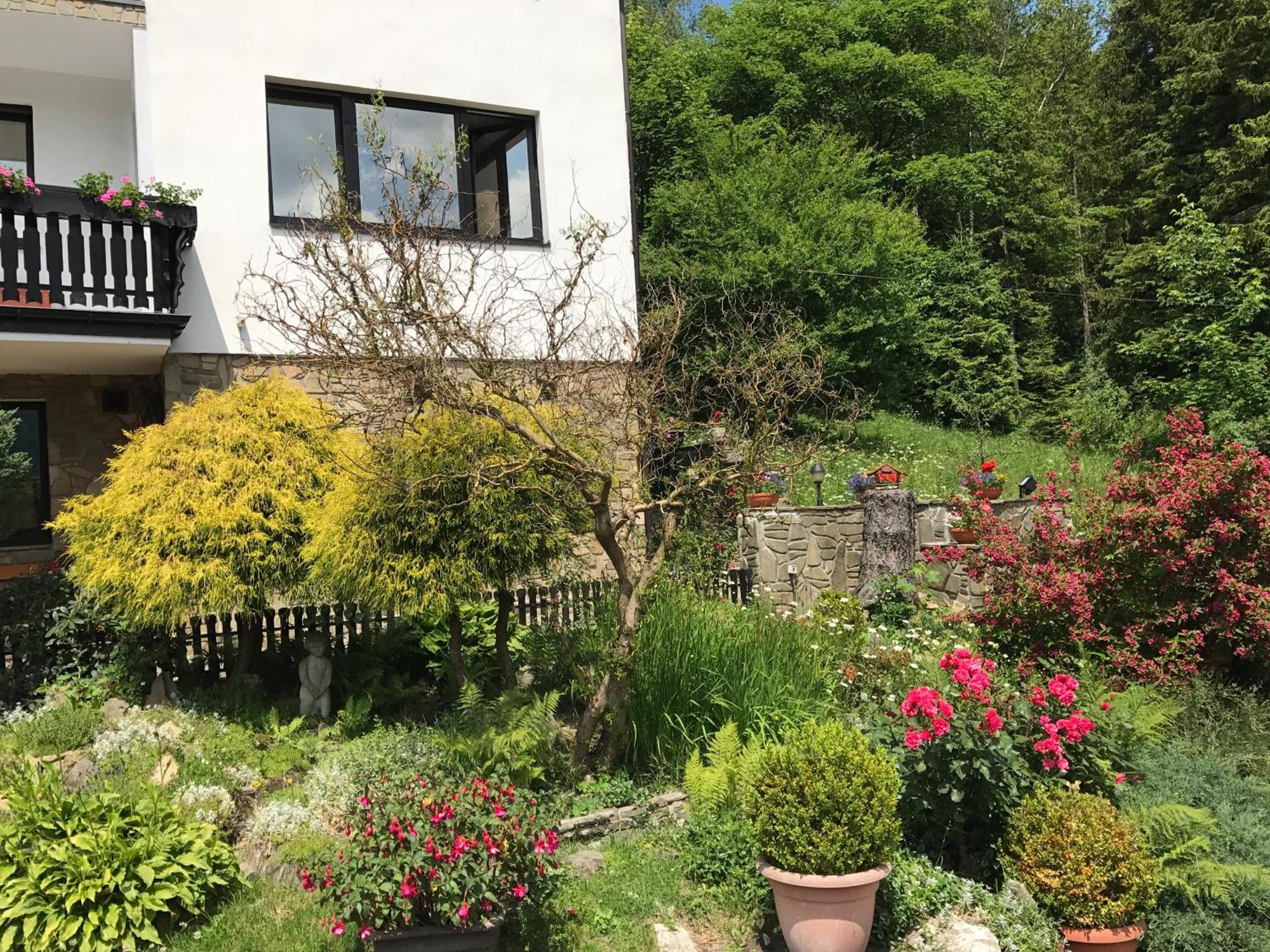 Eden Szczyrk Bed and Breakfast Εξωτερικό φωτογραφία